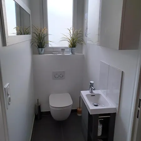Un Jardin A Paris, Maison D'architecte Vitry-sur-Seine